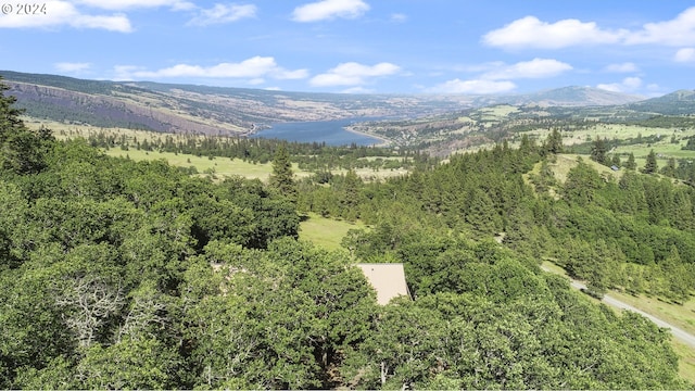 bird's eye view featuring a water and mountain view