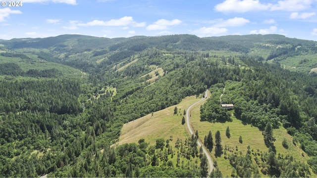 bird's eye view featuring a mountain view