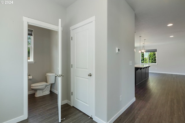 hallway with an inviting chandelier and dark hardwood / wood-style flooring