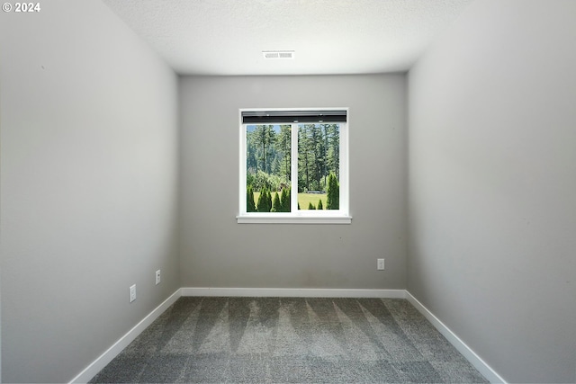 unfurnished room with carpet flooring and a textured ceiling