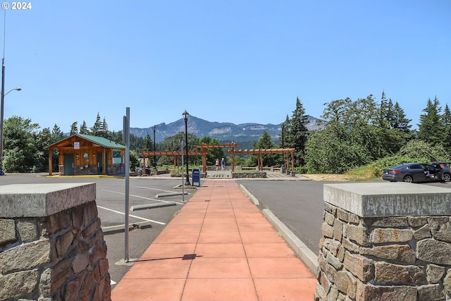 view of property's community featuring a mountain view