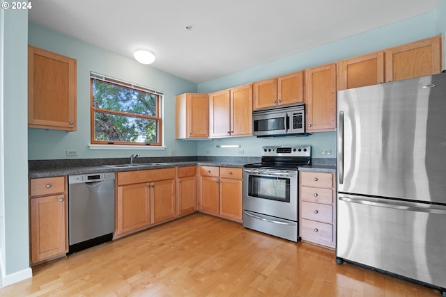 kitchen with light wood-type flooring, stainless steel appliances, and sink