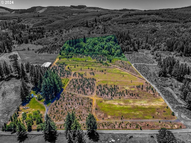 47070 Evergreen Ln, Lyons OR, 97358 land for sale