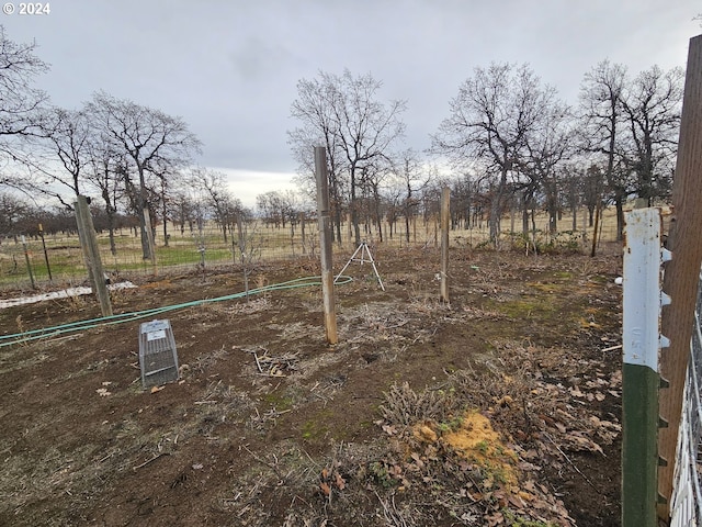 view of yard with a rural view