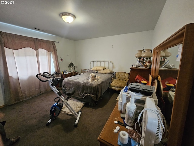 bedroom with carpet