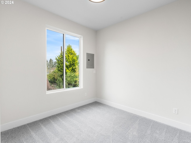 empty room with carpet flooring and plenty of natural light