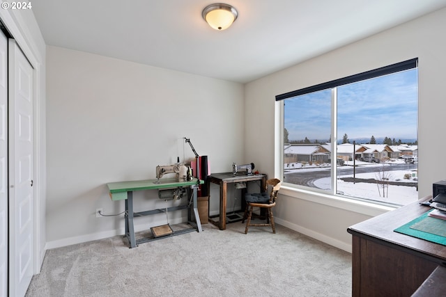 home office with light colored carpet