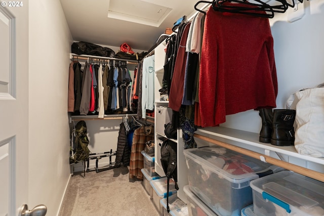 spacious closet featuring light carpet