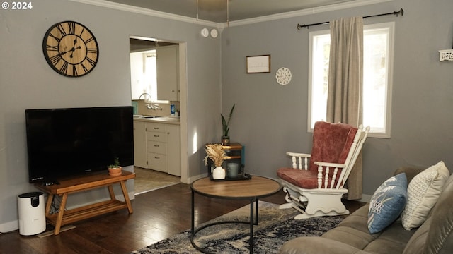 living room with dark hardwood / wood-style flooring, a wealth of natural light, sink, and crown molding