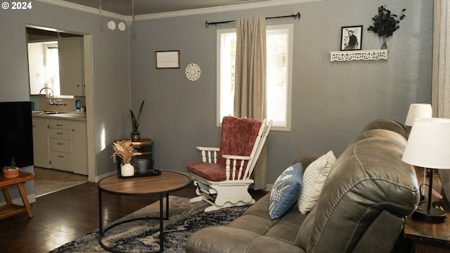 living room with a wealth of natural light, wood-type flooring, and crown molding