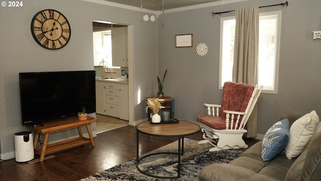 living room with dark hardwood / wood-style flooring, a wealth of natural light, sink, and ornamental molding