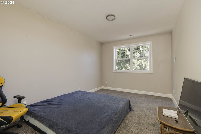 bedroom with carpet floors