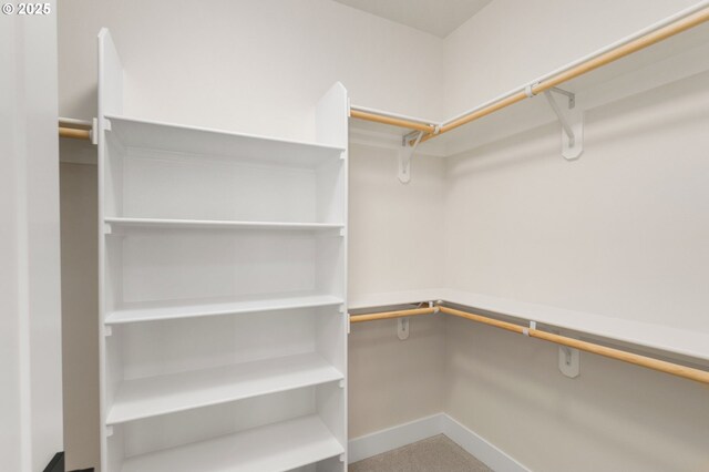 view of walk in closet