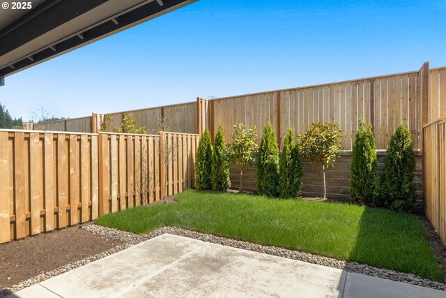 view of yard featuring a patio and a fenced backyard