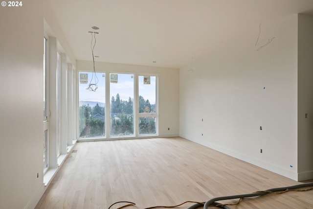 empty room with light hardwood / wood-style flooring