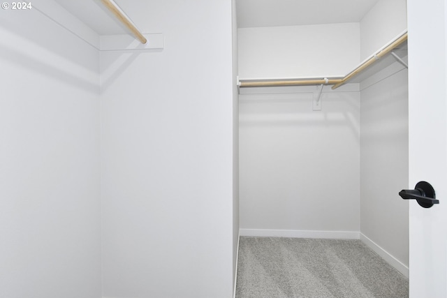 spacious closet with light carpet