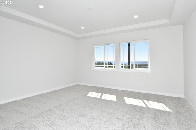 spare room with carpet flooring and a raised ceiling