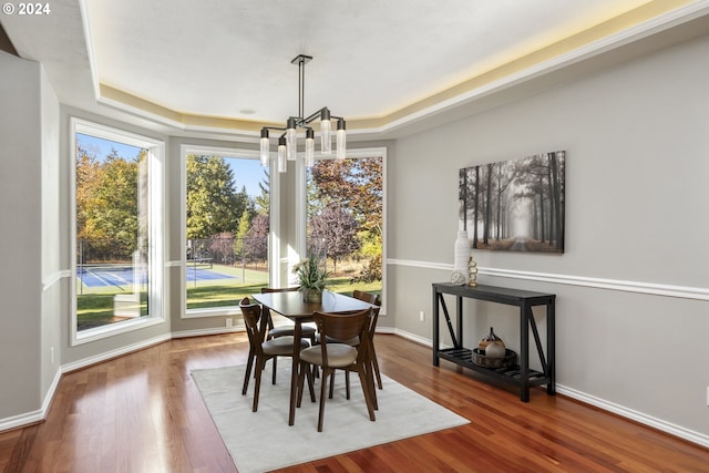 dining area featuring wood-type flooring and a tray ceiling