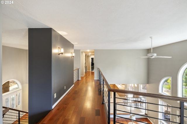 hallway featuring dark hardwood / wood-style flooring