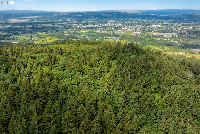 33280 NE Haugen Rd, Newberg, OR 97132 - bird's eye view of mountains and a forest