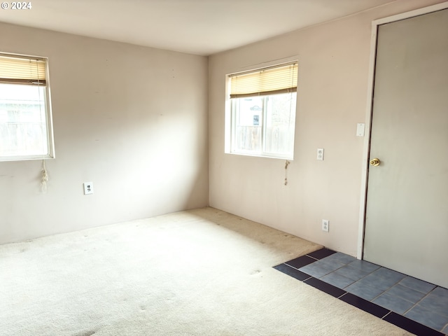 unfurnished room with carpet flooring and a healthy amount of sunlight