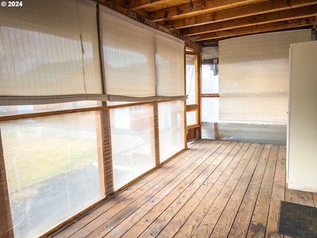 basement with hardwood / wood-style floors