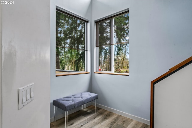 sitting room featuring light hardwood / wood-style flooring and plenty of natural light