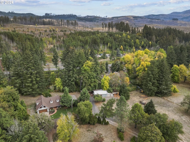 drone / aerial view featuring a mountain view