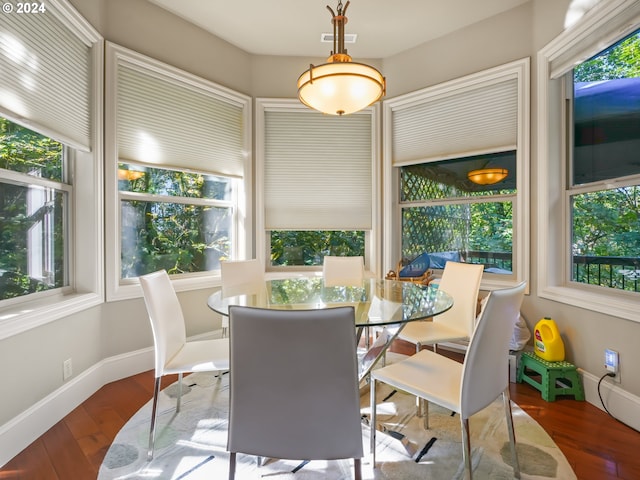 dining room with a wealth of natural light and wood-type flooring