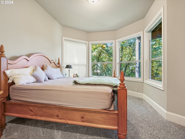 bedroom featuring carpet