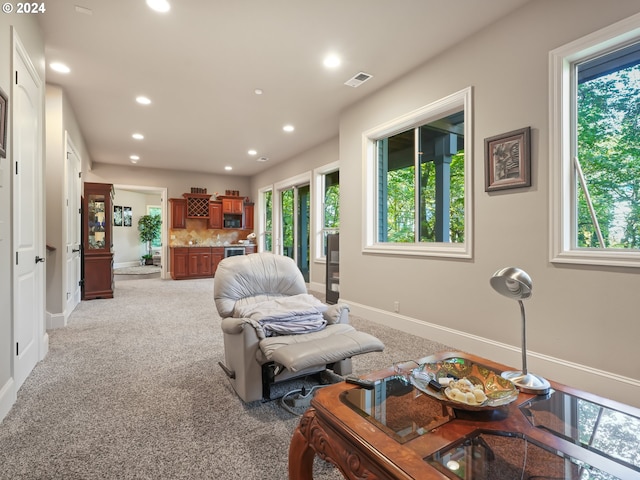 carpeted living room with a wealth of natural light