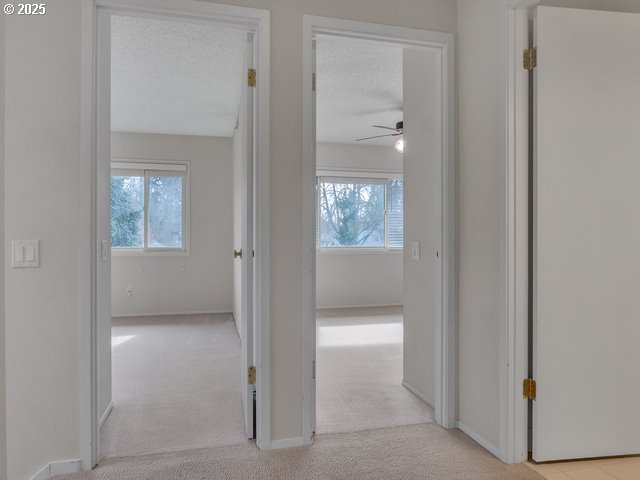 hallway featuring light carpet and a textured ceiling