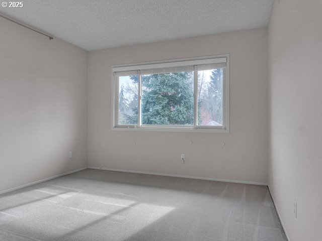 spare room featuring carpet floors and a textured ceiling