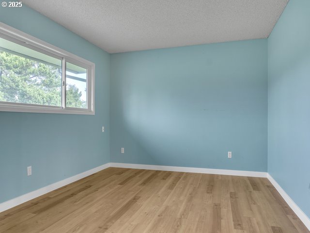 empty room featuring a textured ceiling and light hardwood / wood-style flooring