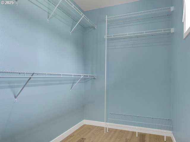 spacious closet featuring wood-type flooring