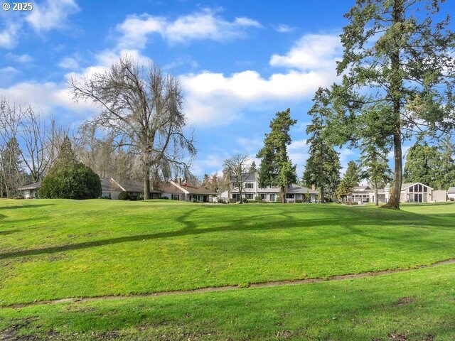 view of home's community with a yard