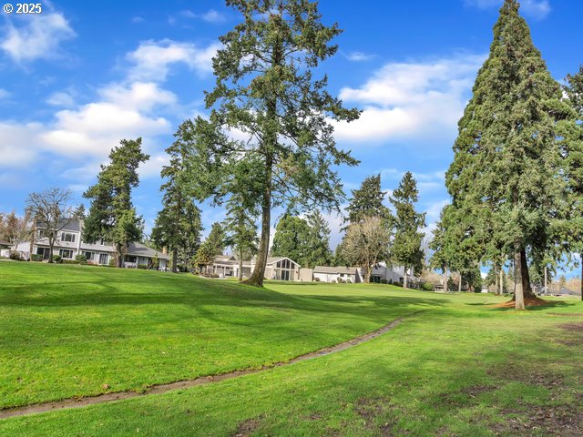 view of property's community featuring a lawn