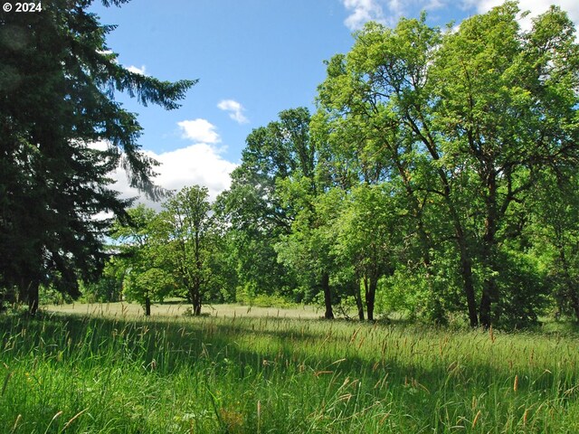 view of landscape