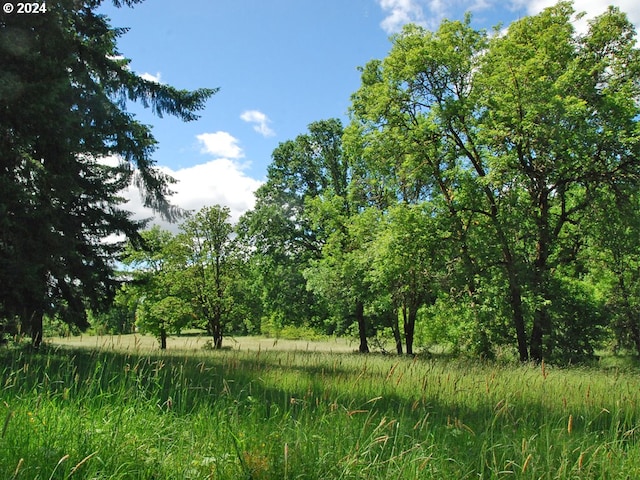 view of nature