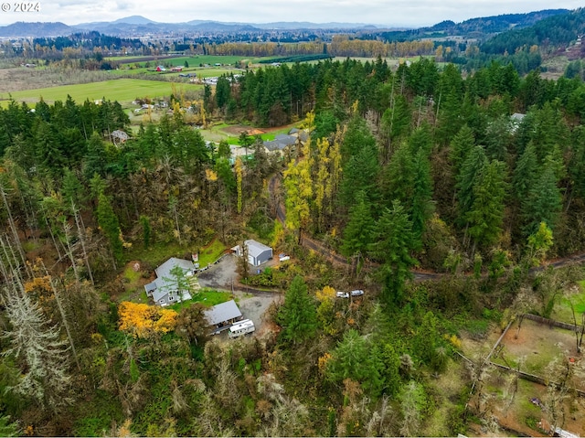 drone / aerial view featuring a mountain view