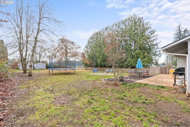 view of yard featuring a storage unit, a patio area, and a trampoline