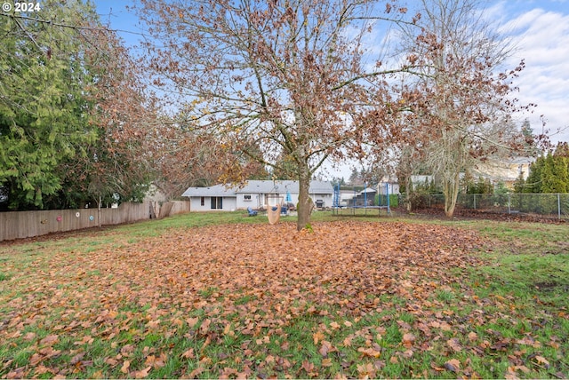 view of yard with a trampoline