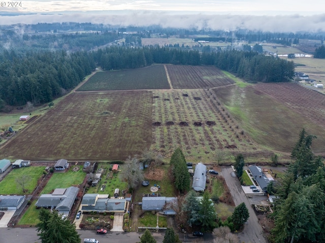 birds eye view of property featuring a rural view