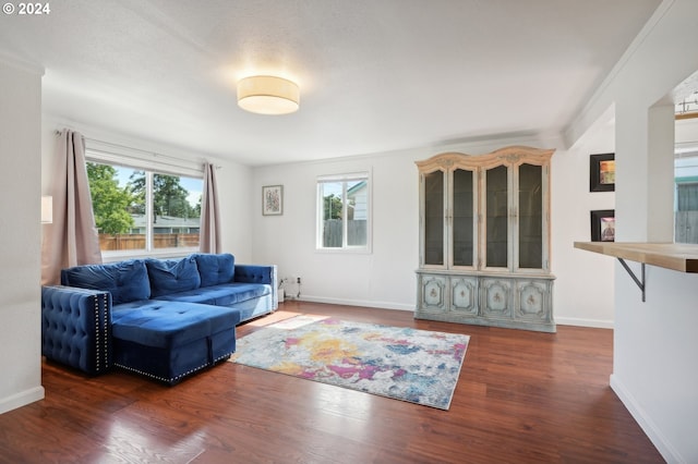 living room featuring dark wood-type flooring and crown molding