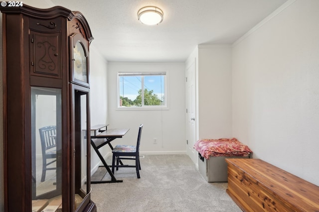 home office with light colored carpet and ornamental molding