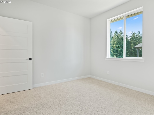 unfurnished room featuring carpet and a healthy amount of sunlight