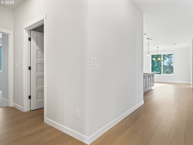 hall with an inviting chandelier and light wood-type flooring