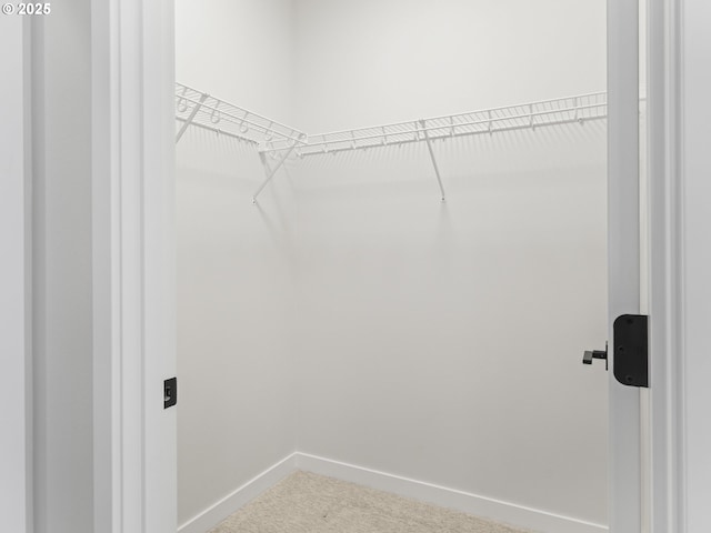 spacious closet with carpet