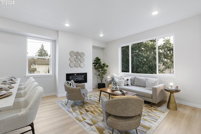 living room featuring a healthy amount of sunlight and light hardwood / wood-style flooring