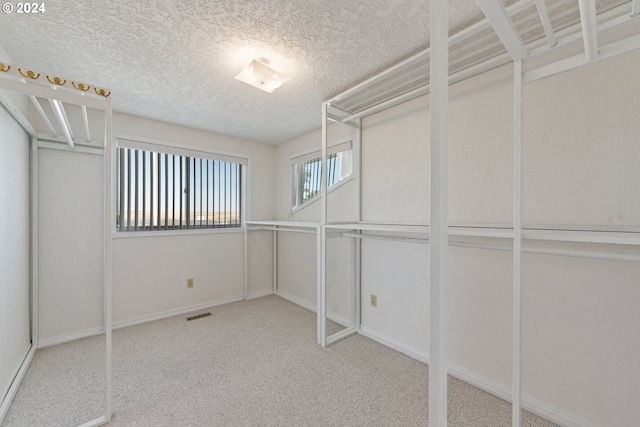 spacious closet featuring carpet flooring